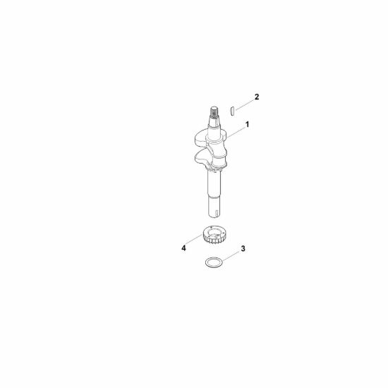 Picture of D - Albero a gomito EVC 300.0 E (EVC300-0002)